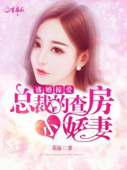 盛婚掠爱:总裁的查房小娇妻