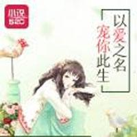 以爱之名宠你此生_以爱之名宠你此生章节