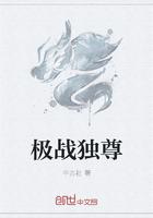 极战独尊